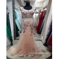 Guangzhou Custom Made Embroided Mesh Elegant Pattern Appliqued Elegant Mermaid Evening Dresses